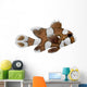 Harlequin Sweetlips Fish Plectorhynchus Wall Decal