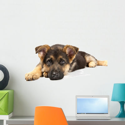 German Shepard Dog shown on a wall