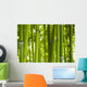 Bamboo Bamboo 06 Wall Mural