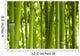 Bamboo Bamboo 06 Wall Mural