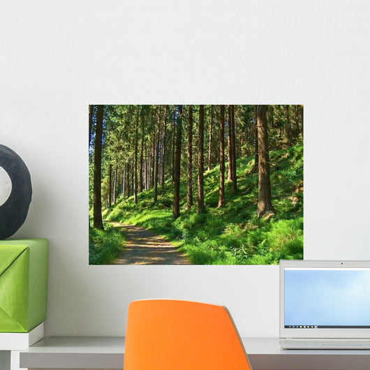 Deep Forest Wall Decal