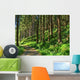 Deep Forest Wall Decal
