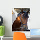 Horse Closeup Wall Mural
