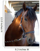 Horse Closeup Wall Mural