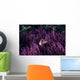 Indonesia, Pink Anenome fish in sea Anenome Wall Mural