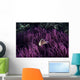 Indonesia, Pink Anenome fish in sea Anenome Wall Mural