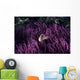 Indonesia, Pink Anenome fish in sea Anenome Wall Mural