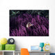 Indonesia, Pink Anenome fish in sea Anenome Wall Mural