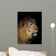 Closeup of lion head, black background Wall Mural