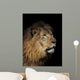 Closeup of lion head, black background Wall Mural
