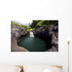 Hawaii, Maui, Kipahulu, One of the seven sacred pools Wall Mural