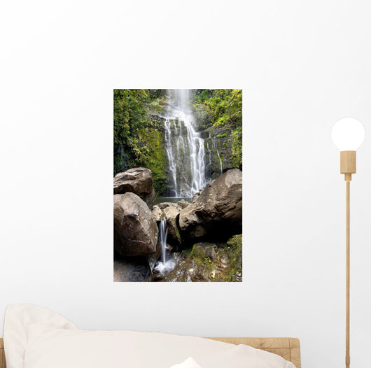 Hawaii, Maui, A view of Wailua Falls Wall Mural