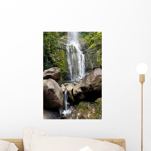 Hawaii, Maui, A view of Wailua Falls Wall Mural