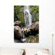 Hawaii, Maui, A view of Wailua Falls Wall Mural