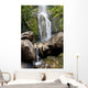 Hawaii, Maui, A view of Wailua Falls Wall Mural