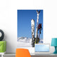 Photo De Ski Wall Mural