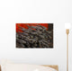 Indonesia, Bali, School of Striped Catfish Wall Mural