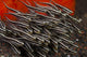 Indonesia, Bali, School of Striped Catfish Wall Mural