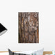 tree surface Wall Mural