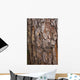 tree surface Wall Mural
