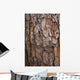 tree surface Wall Mural