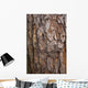 tree surface Wall Mural