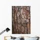 tree surface Wall Mural