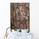 tree surface Wall Mural