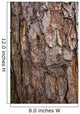 tree surface Wall Mural