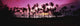 Tropical sunset with magenta sky and palm trees in Kapalua Bay Wall Mural