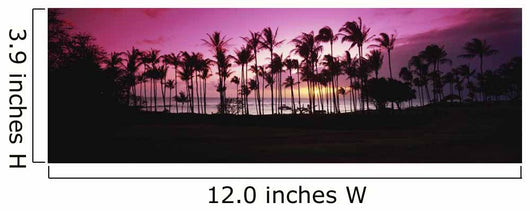 Tropical sunset with magenta sky and palm trees in Kapalua Bay Wall Mural