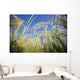 Tef Wall Mural