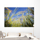 Tef Wall Mural