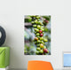 Coffee growing in the highlands of Ethiopia Wall Mural