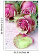 Rosen auf altem Brief Wall Mural