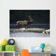 Bull Roosevelt elk crossing river with mergansers in the foreground Wall Mural