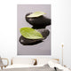 Zen Stones and Leaves Wall Mural