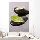 Zen Stones and Leaves Wall Mural
