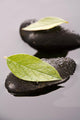 Zen Stones and Leaves Wall Mural