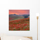 Dorset Poppy Field Sunset