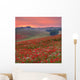 Dorset Poppy Field Sunset