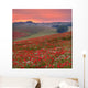 Dorset Poppy Field Sunset