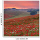 Dorset Poppy Field Sunset