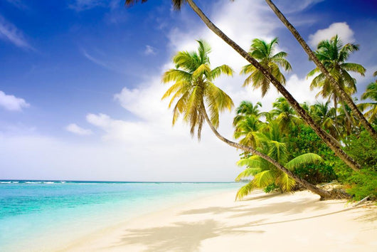 Deserted Beach