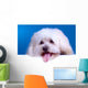 Cute Face Bichon Wall Mural