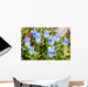 Macro of Broadpetal Gentian at Crow Pass Wall Mural