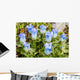 Macro of Broadpetal Gentian at Crow Pass Wall Mural