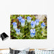 Macro of Broadpetal Gentian at Crow Pass Wall Mural