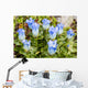 Macro of Broadpetal Gentian at Crow Pass Wall Mural