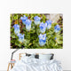 Macro of Broadpetal Gentian at Crow Pass Wall Mural